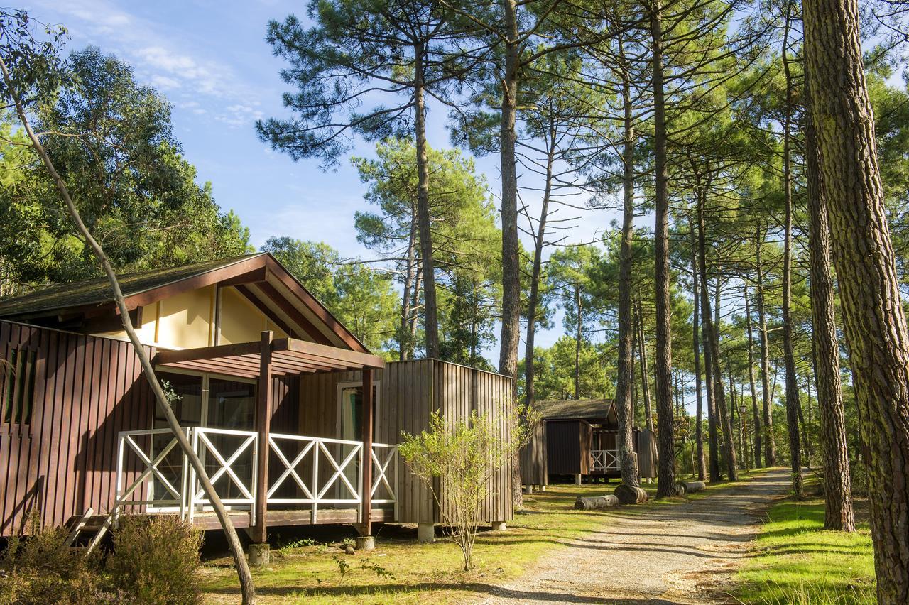 Hotel Vtf Les Oyats Sylvadoures Maubuisson Exterior foto